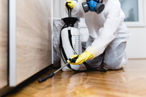 Best Cockroach Control Services  in Sulligent, AL