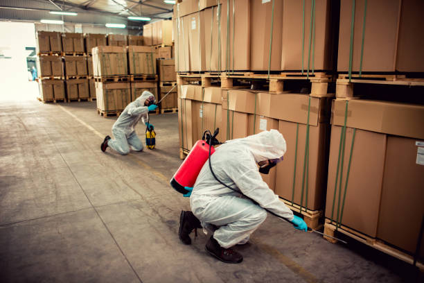 Best Wasp Removal Services  in Sulligent, AL