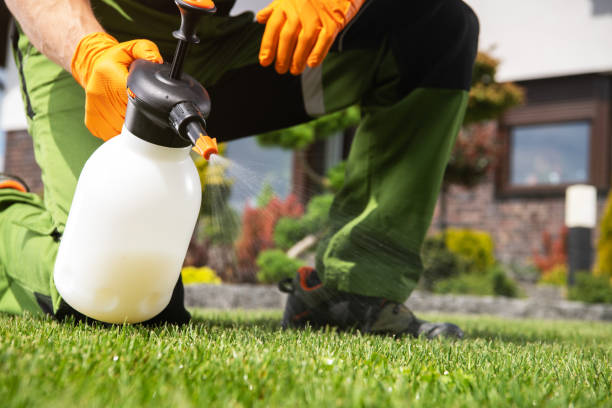 Best Bed Bug Extermination  in Sulligent, AL