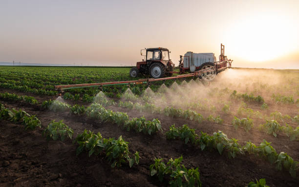Best Pest Prevention Services  in Sulligent, AL