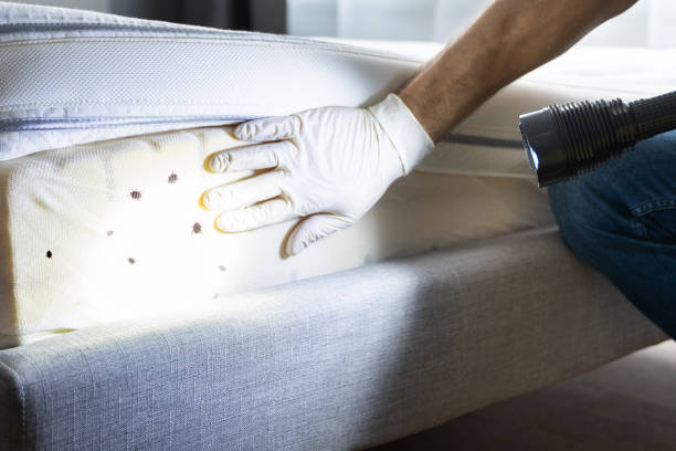 Best Best Pest Control Near Me  in Sulligent, AL