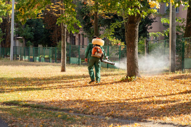 Best Best Pest Control Companies  in Sulligent, AL