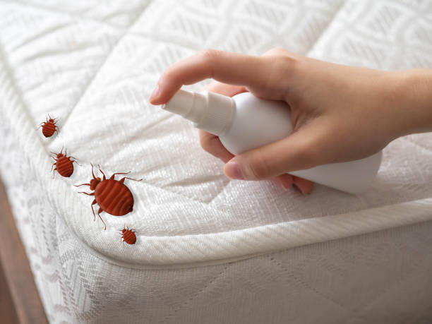 Best Residential Pest Control  in Sulligent, AL