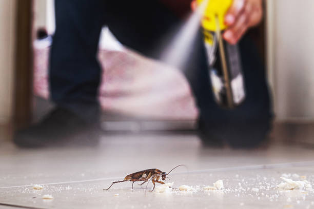 Pest Control for Restaurants in Sulligent, AL