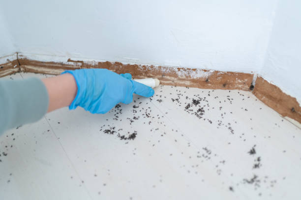 Best Pest Inspection Near Me  in Sulligent, AL