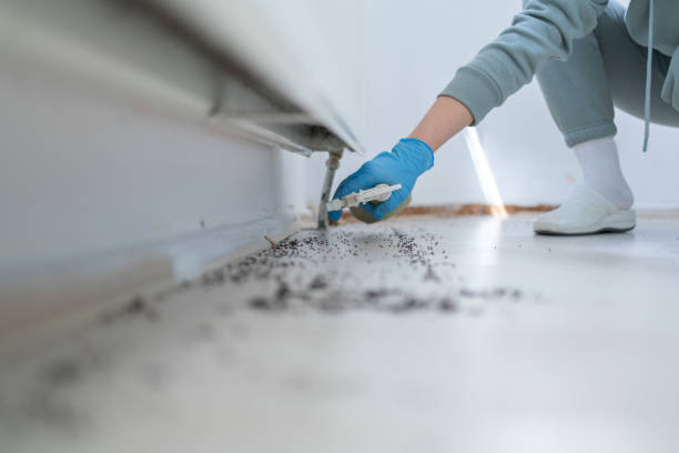 Best Rat Extermination Near Me  in Sulligent, AL