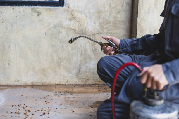 Pest Prevention Services in Sulligent, AL