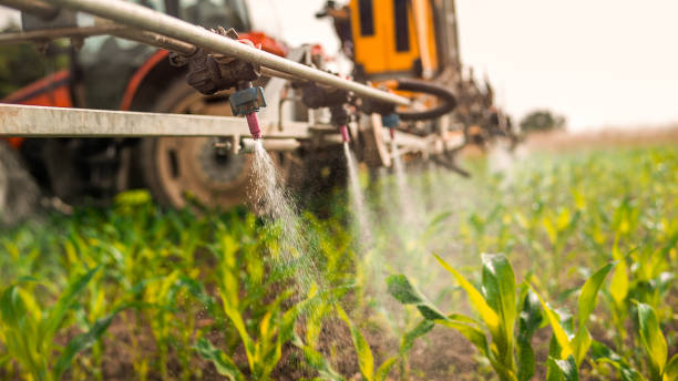 Best Commercial Pest Control Services  in Sulligent, AL